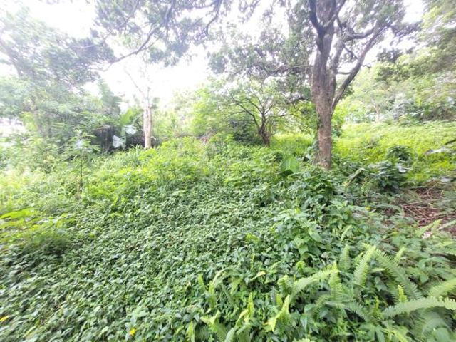 Property for sale in Ugu District Municipality, Kwazulu-natal