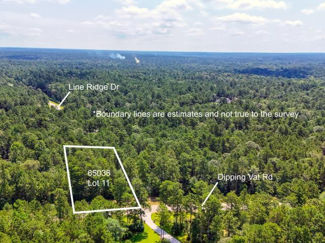 Land for sale in Walker, Texas