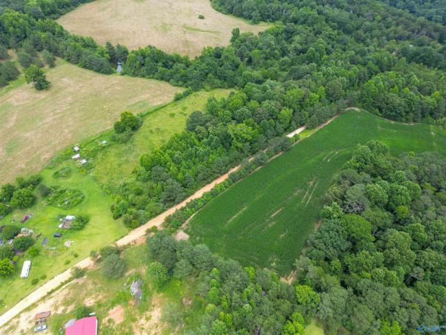 Land for sale in Fort Payne, Cherokee County