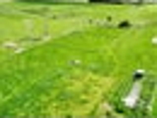 Land for sale in Horowhenua District