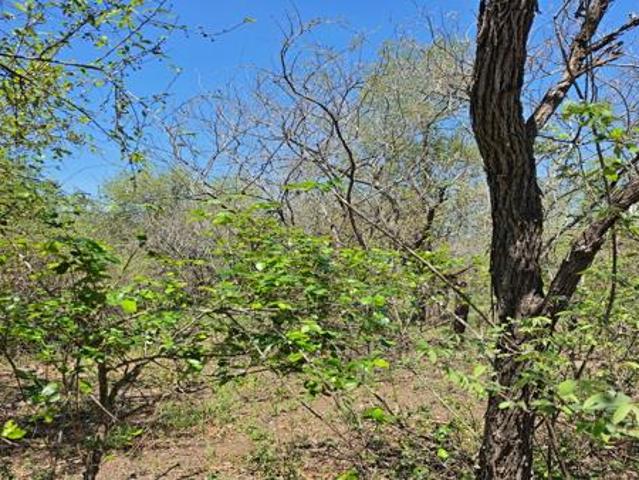 Property for sale in Komatipoort, Nkomazi