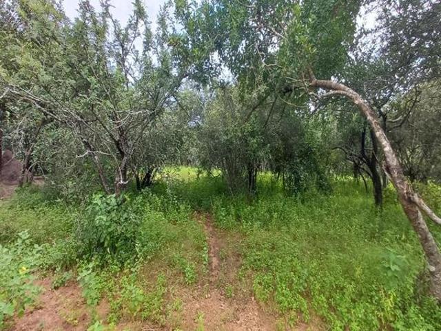 Property for sale in Komatipoort, Nkomazi