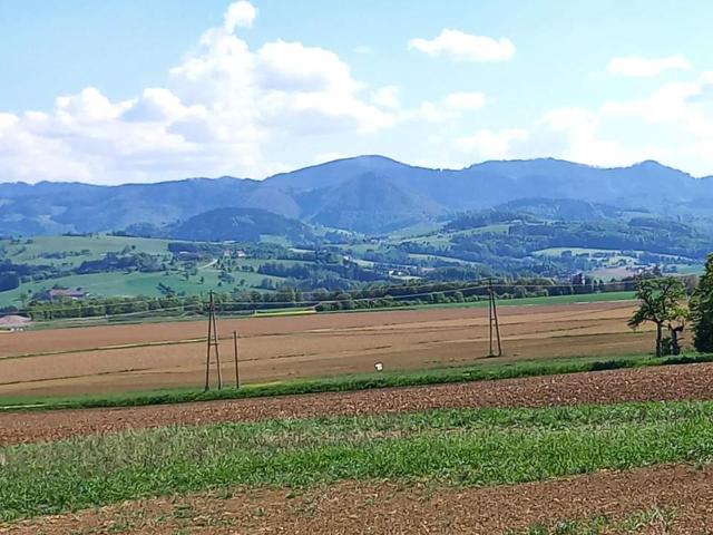 Grundstück kaufen in Oberösterreich