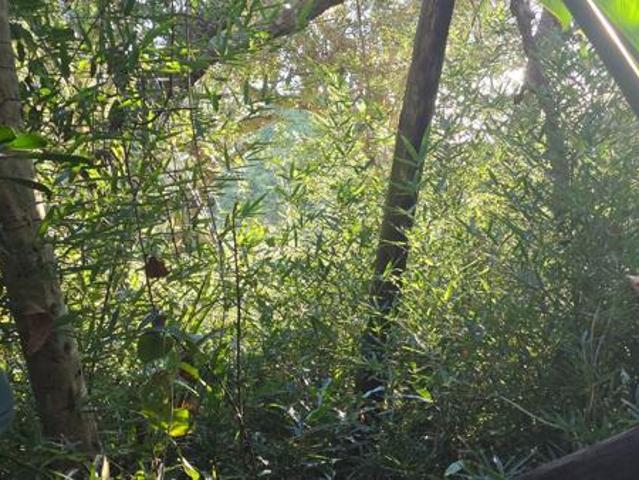 Property for sale in Port Edward, Hibiscus Coast Local Municipality