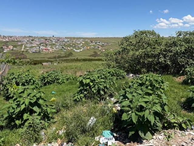 Property for sale in Wild Coast Abalone, Great Kei Local Municipality