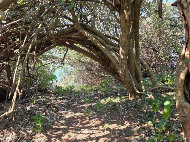 Property for sale in Ugu District Municipality, Kwazulu-natal