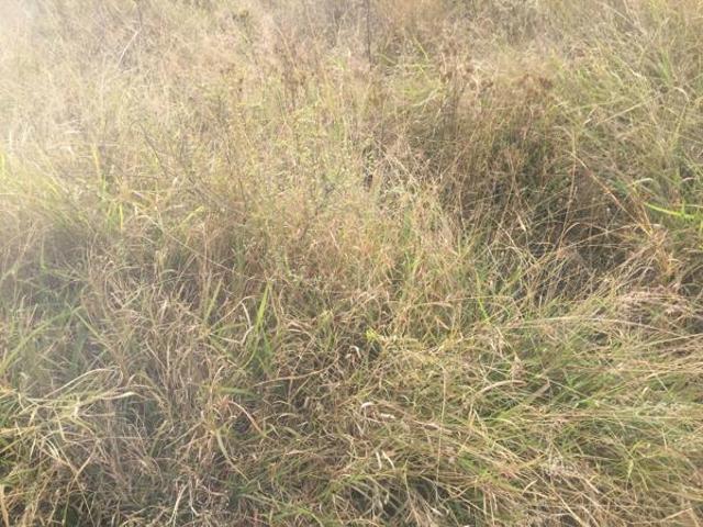 Property for sale in Greater Tubatse Municipality, Limpopo