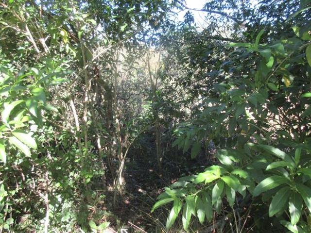 Property for sale in Bushmans River Mouth, Eastern Cape