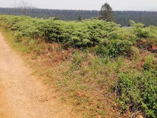 Property for sale in Ehlanzeni, Mpumalanga