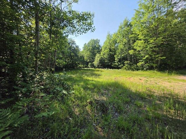 Land for sale in Amberg, Wisconsin