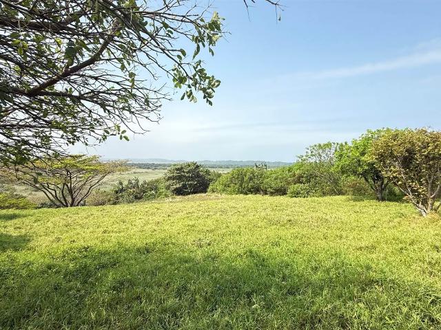 Property for sale in Mtunzini, Kwazulu-natal