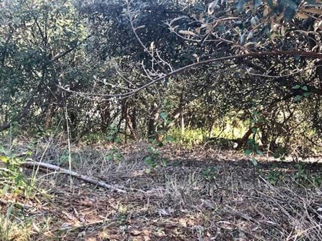 Property for sale in Princess Grant, Kwazulu-natal
