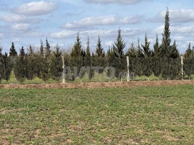 Propriété vente à Slimane, Gharb-Chrarda-Beni Hssen