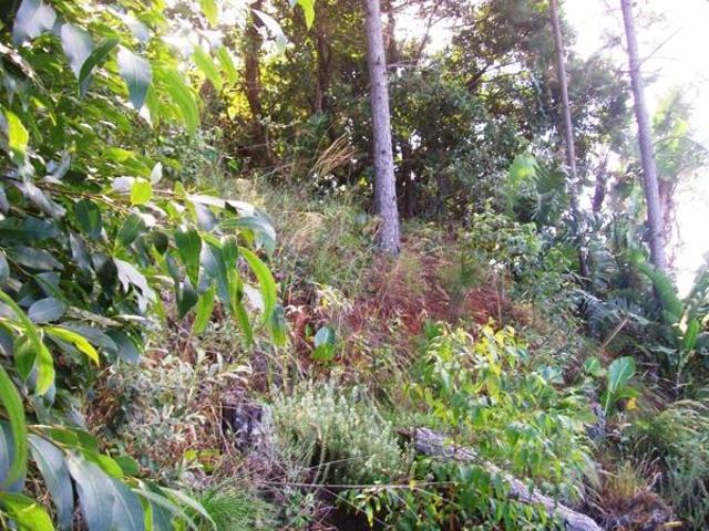 Property for sale in Ugu District Municipality, Kwazulu-natal