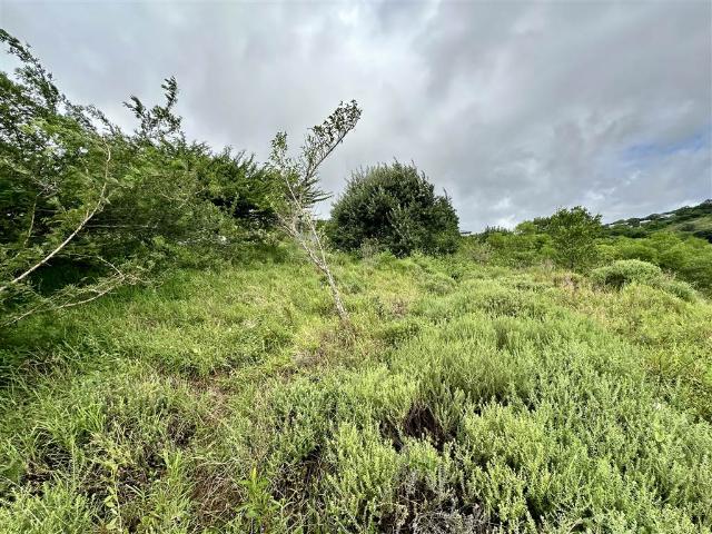 Property for sale in Mtunzini, Kwazulu-natal