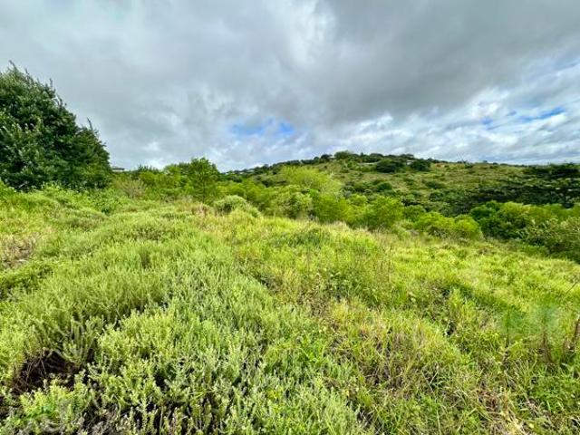 Property for sale in Mtunzini, Kwazulu-natal
