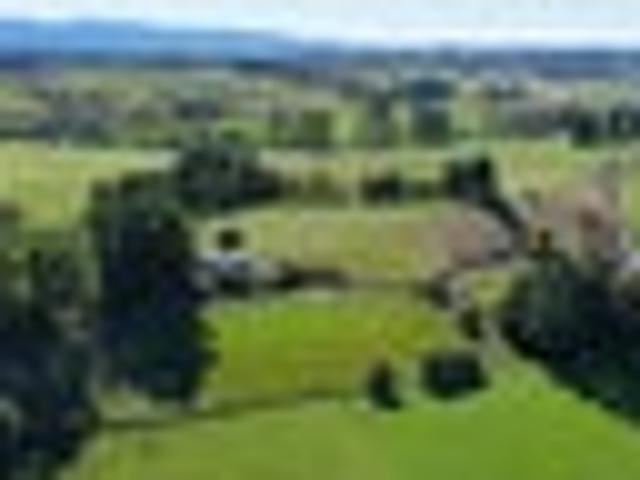 Land for sale in Tasman