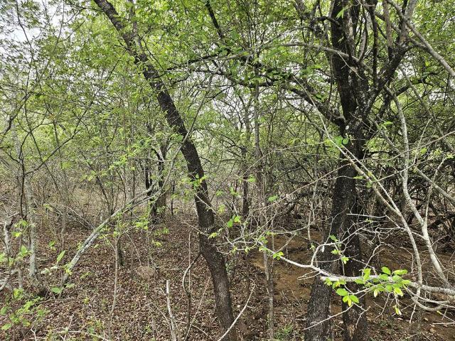 Property for sale in Ehlanzeni, Mpumalanga