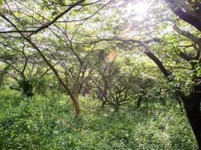 Property for sale in Princess Grant, Kwazulu-natal