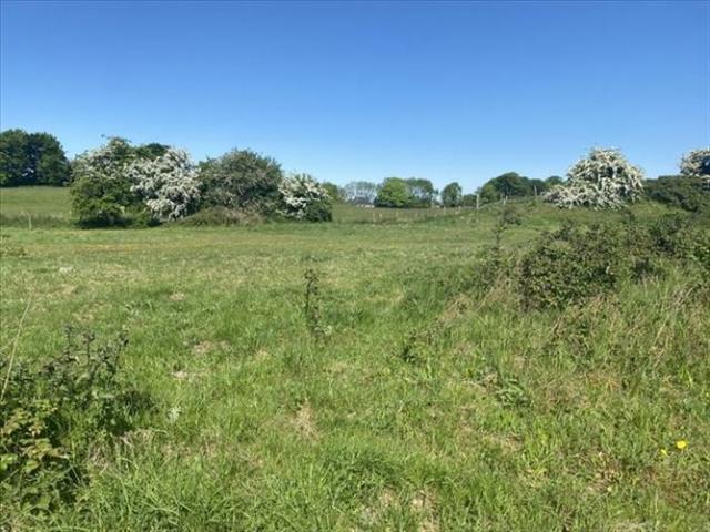 Property for sale in Drumone, North Tipperary