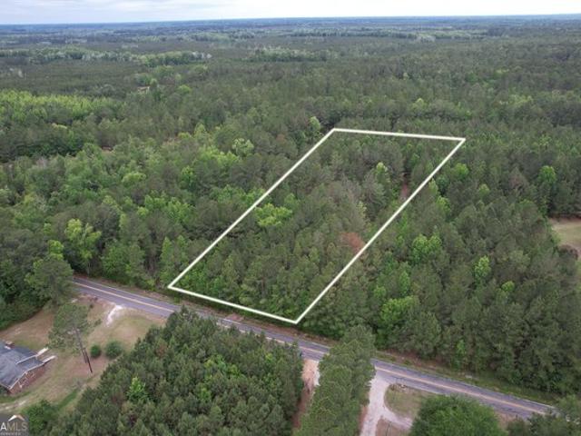 Land for sale in Clyo, Georgia