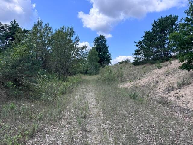 Land for sale in Michigan