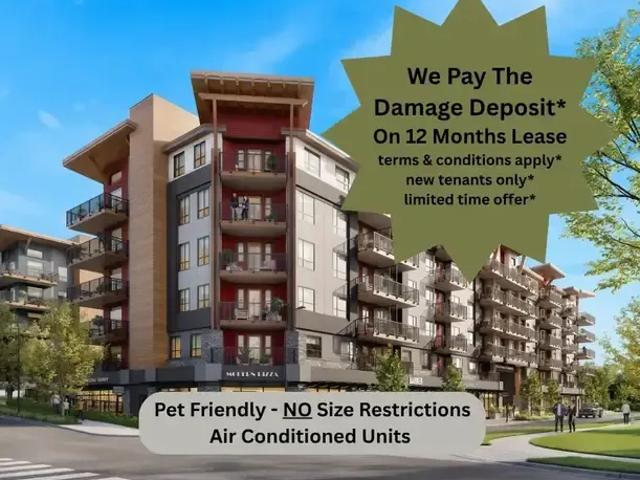 Apartment for rent in Walnut Grove, British Columbia