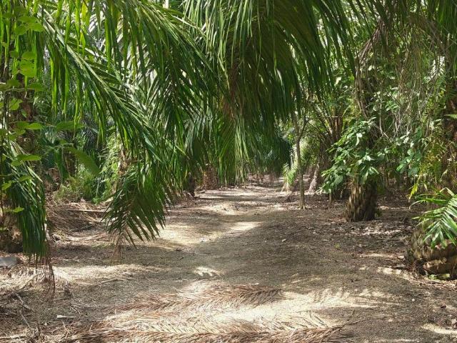 Property for sale in Sekinchan, Selangor