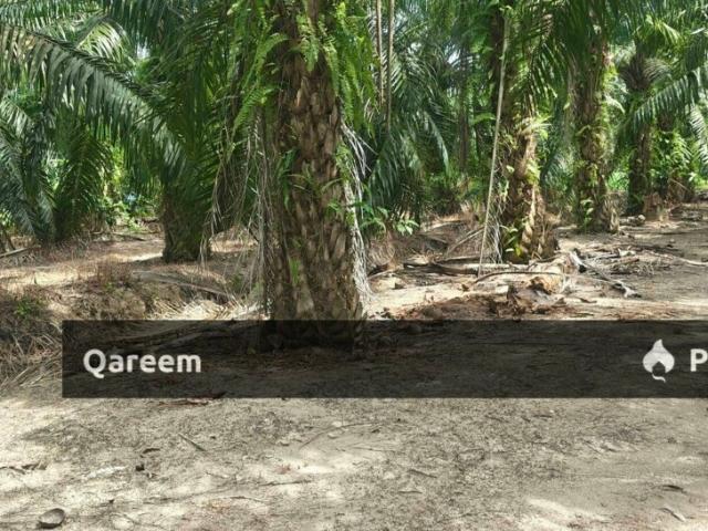 Property for sale in Sekinchan, Selangor