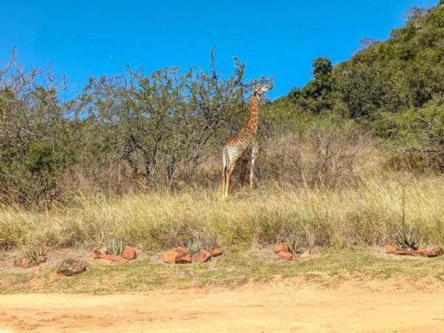 Land for sale in Ehlanzeni, Mpumalanga