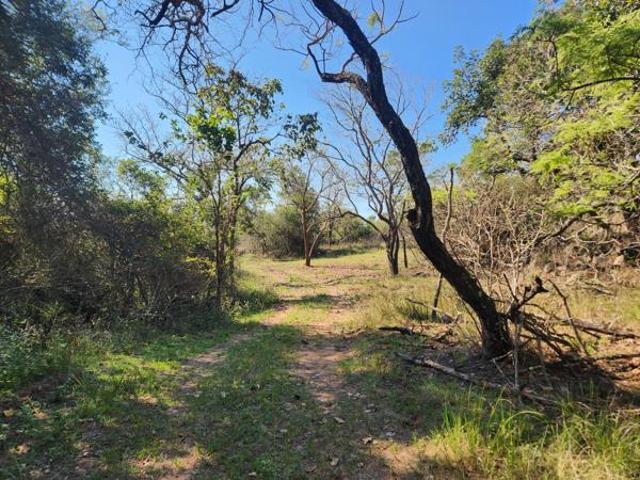 Land for sale in Ehlanzeni, Mpumalanga