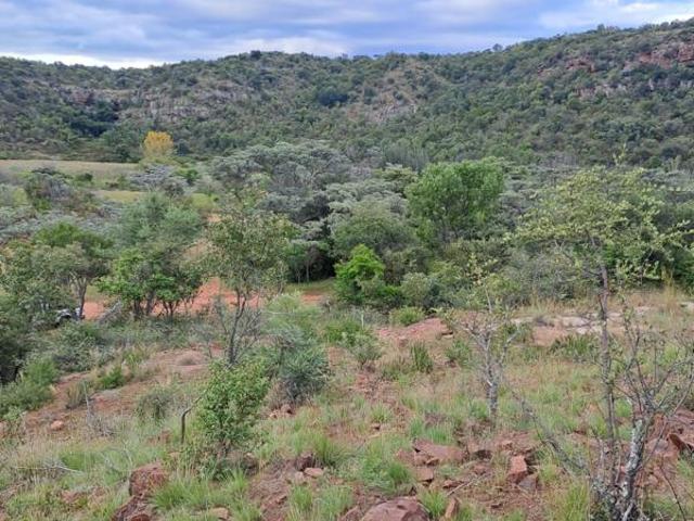 Land for sale in Limpopo
