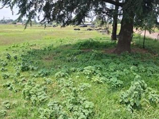 Land for sale in Sundra, Mpumalanga
