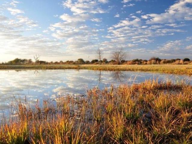 Land for sale in 57 Waterberg, Lephalale Local Municipality