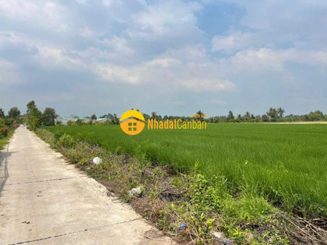 Mặt bằng bán