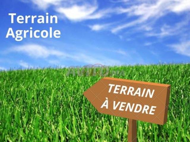 Propriété vente à Slimane, Gharb-Chrarda-Beni Hssen