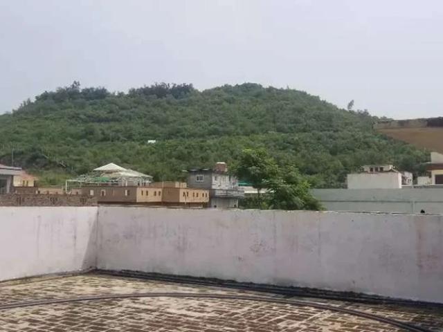House for rent in بنی گالا, زون ۴