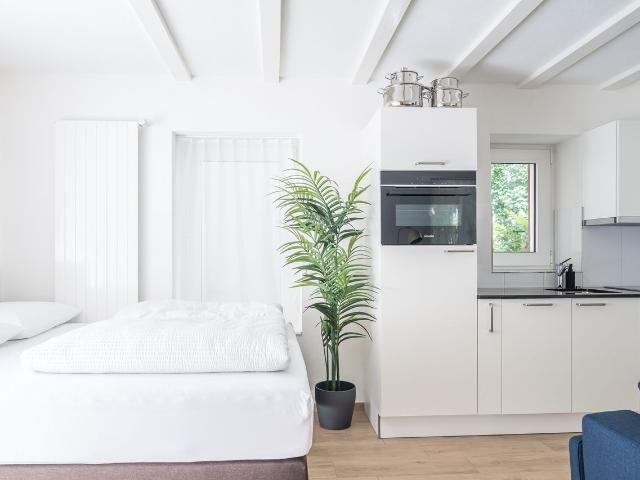 Apartment mieten in Einigen, Zürich