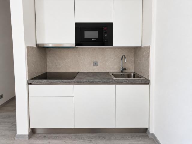 Wohnung mieten in Molino Nuovo, Lugano