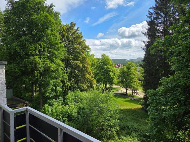 Etagenwohnung kaufen in Goslar