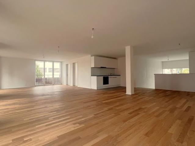 Apartment mieten in Reiden, Lü