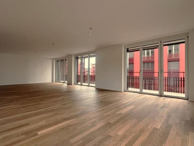 Apartment mieten in Reiden, Lü