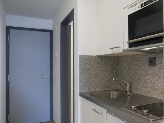 Apartment mieten in Paradiso, Tessin