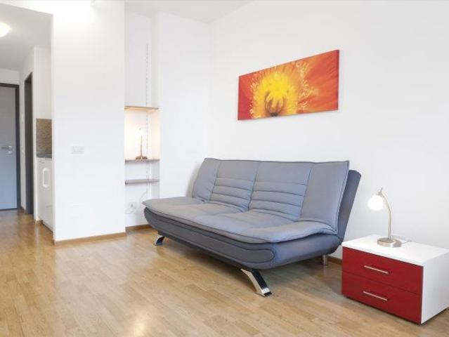 Apartment mieten in Paradiso, Tessin