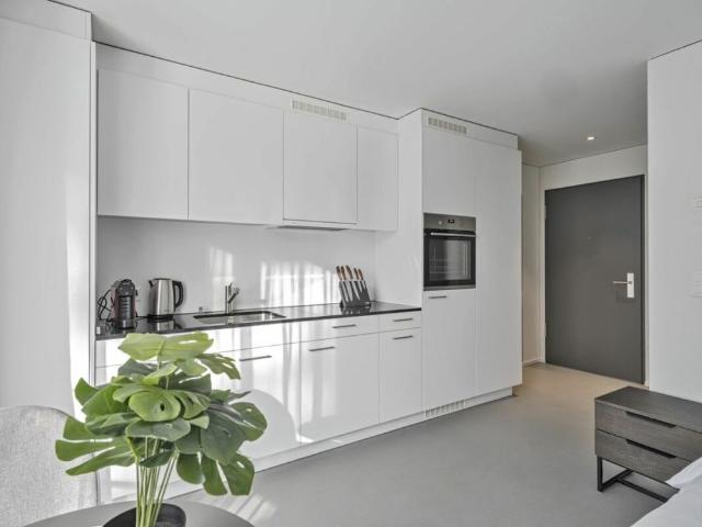 Apartment mieten in Grenchen, Solothurn