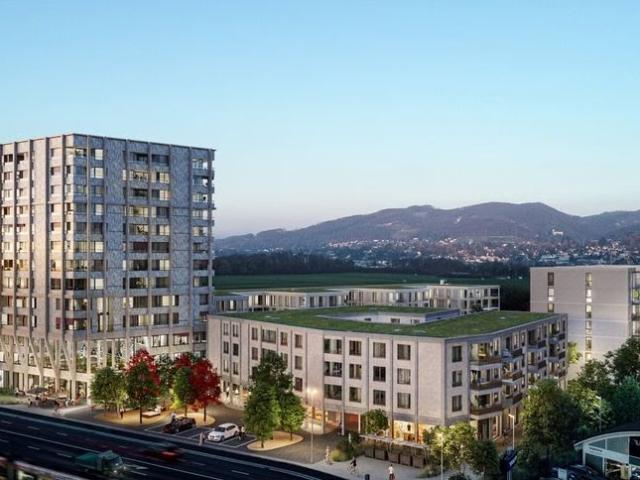 Apartment mieten in Aesch (BL), Basel-Landschaft