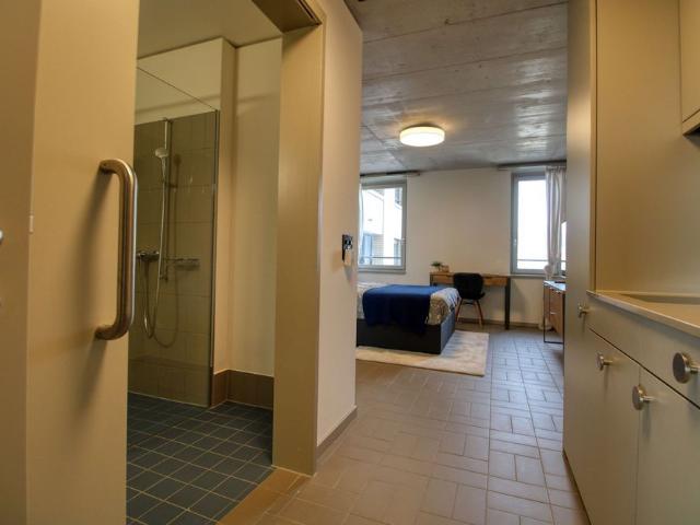 Studio mieten in Schlieren, Zürich