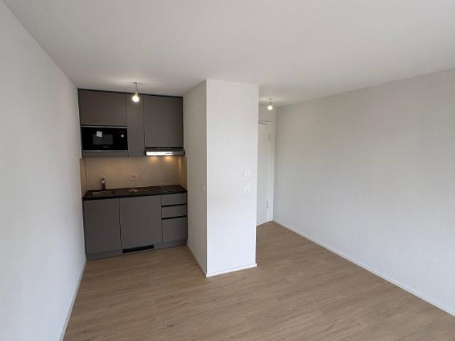 Studio mieten in Cheseaux-Lausanne, Waadt