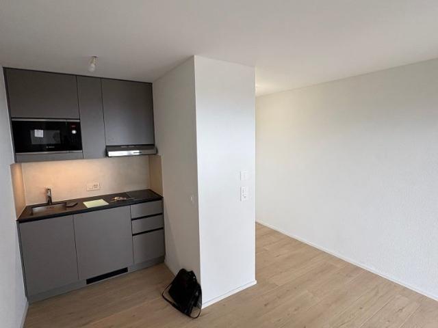 Studio mieten in Cheseaux-Lausanne, Waadt