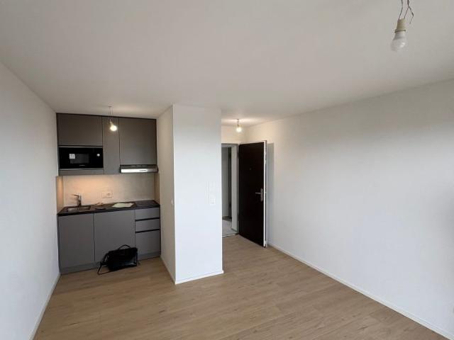 Studio mieten in Cheseaux-Lausanne, Waadt